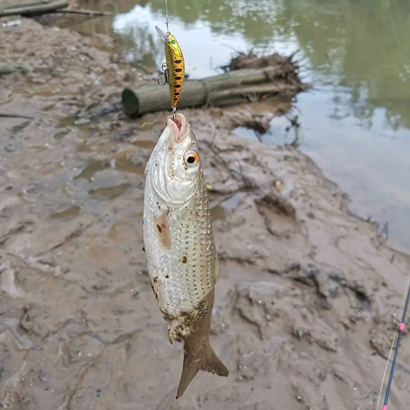 5 Piece-Sinking Minnow Lure Set